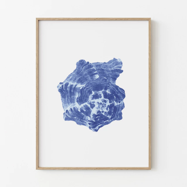 Quadro A Concha IV