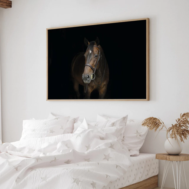 Quadro Cavalo Cênico