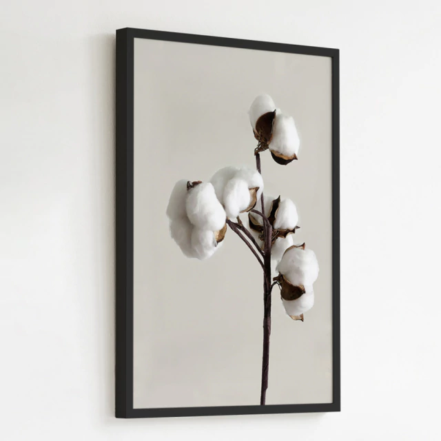 Quadro Cotton