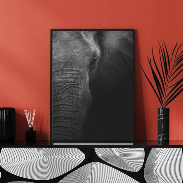 Quadro Elefante
