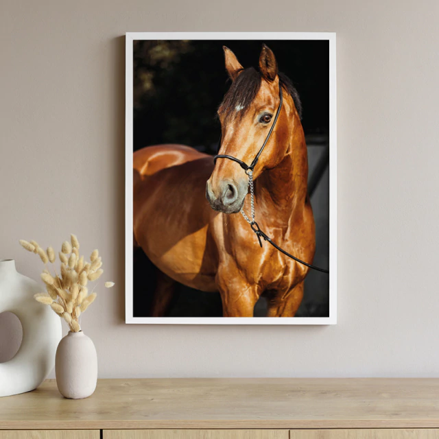 Quadro Hipismo I