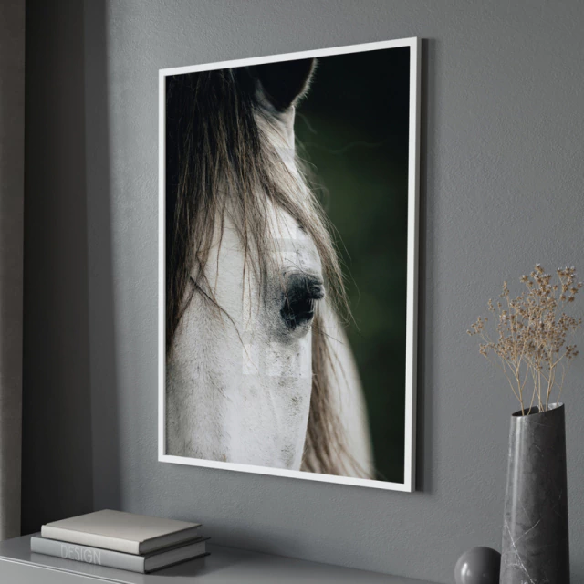Quadro Hipismo IV
