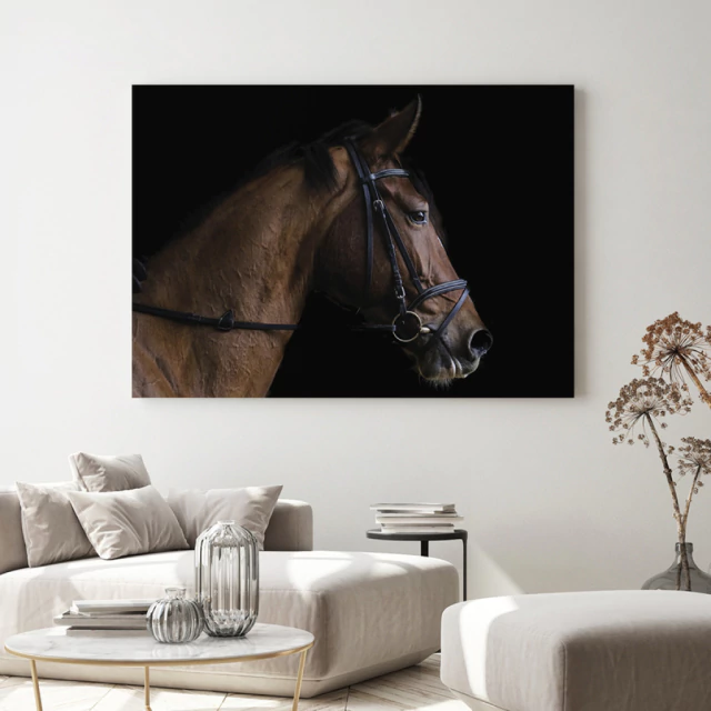Quadro Hipismo V
