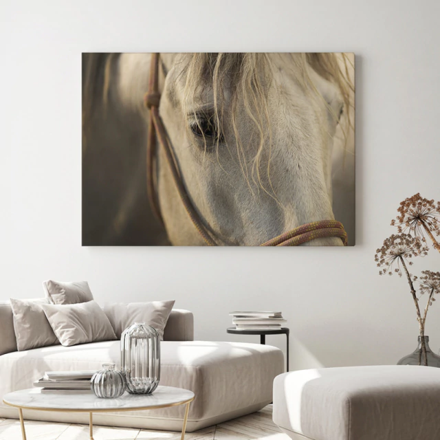 Quadro Hipismo VI