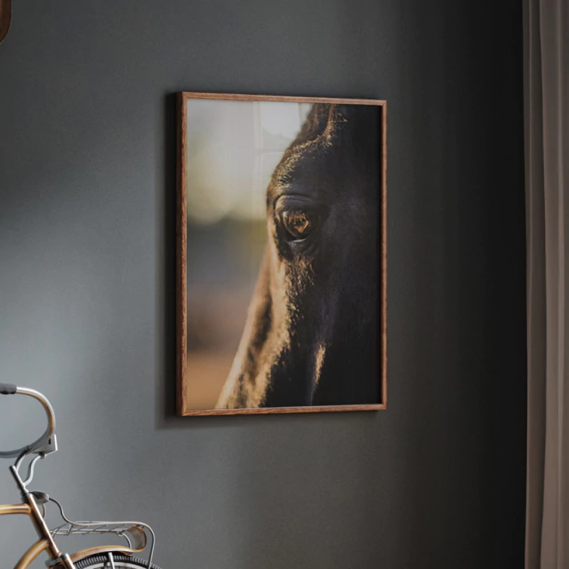 Quadro Horse Eyes