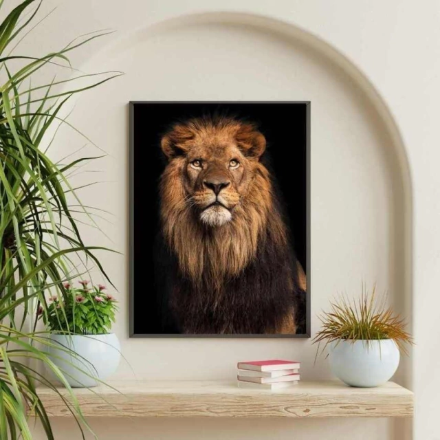 Quadro Leão Olhar do Rei