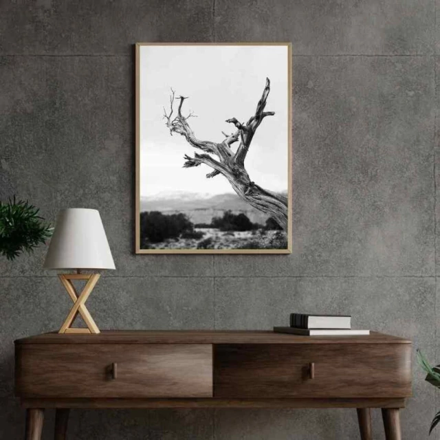 Quadro Natureza em Preto e Branco