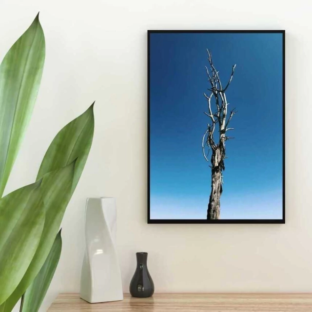 Quadro O Céu do Sertão