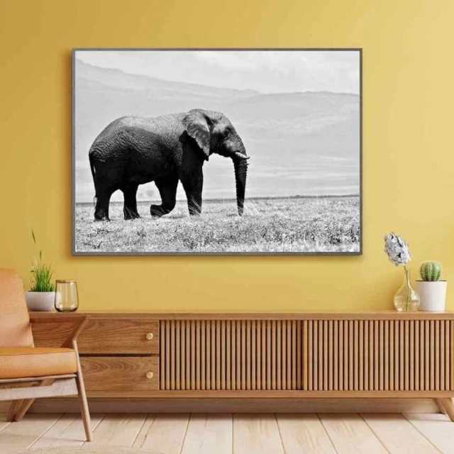 Quadro O Elefante