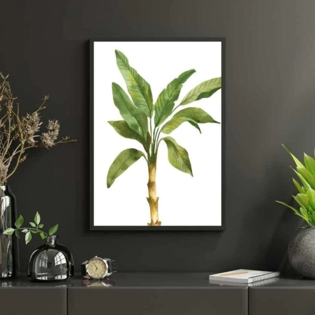Quadro Planta XIV