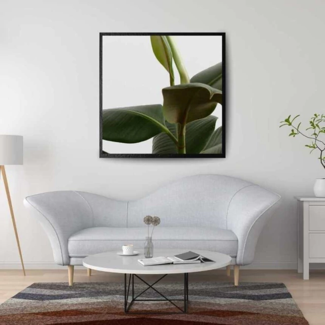 Quadro Quadrado de Planta I