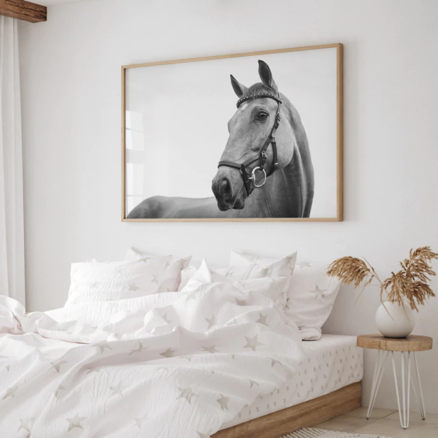 Quadro White Horse
